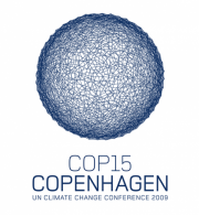 Beyond Copenhagen: Taking Stock and Looking Forward